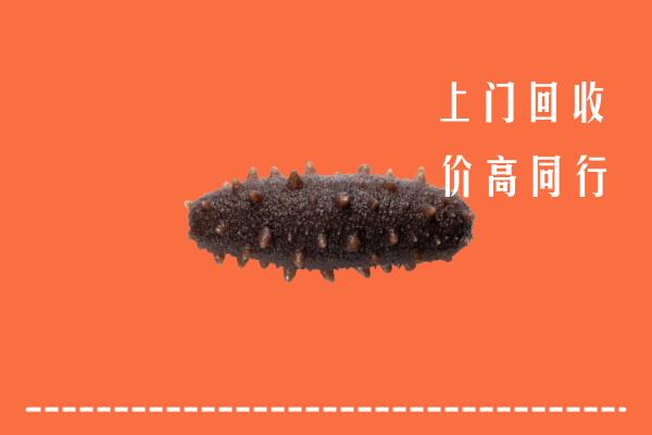 高价求购：六安回收海参