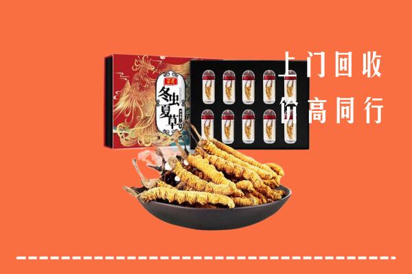 六安回收虫草